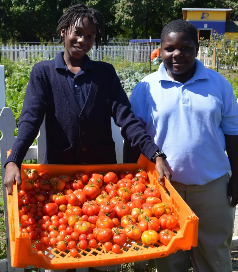 Students w tomatoes
