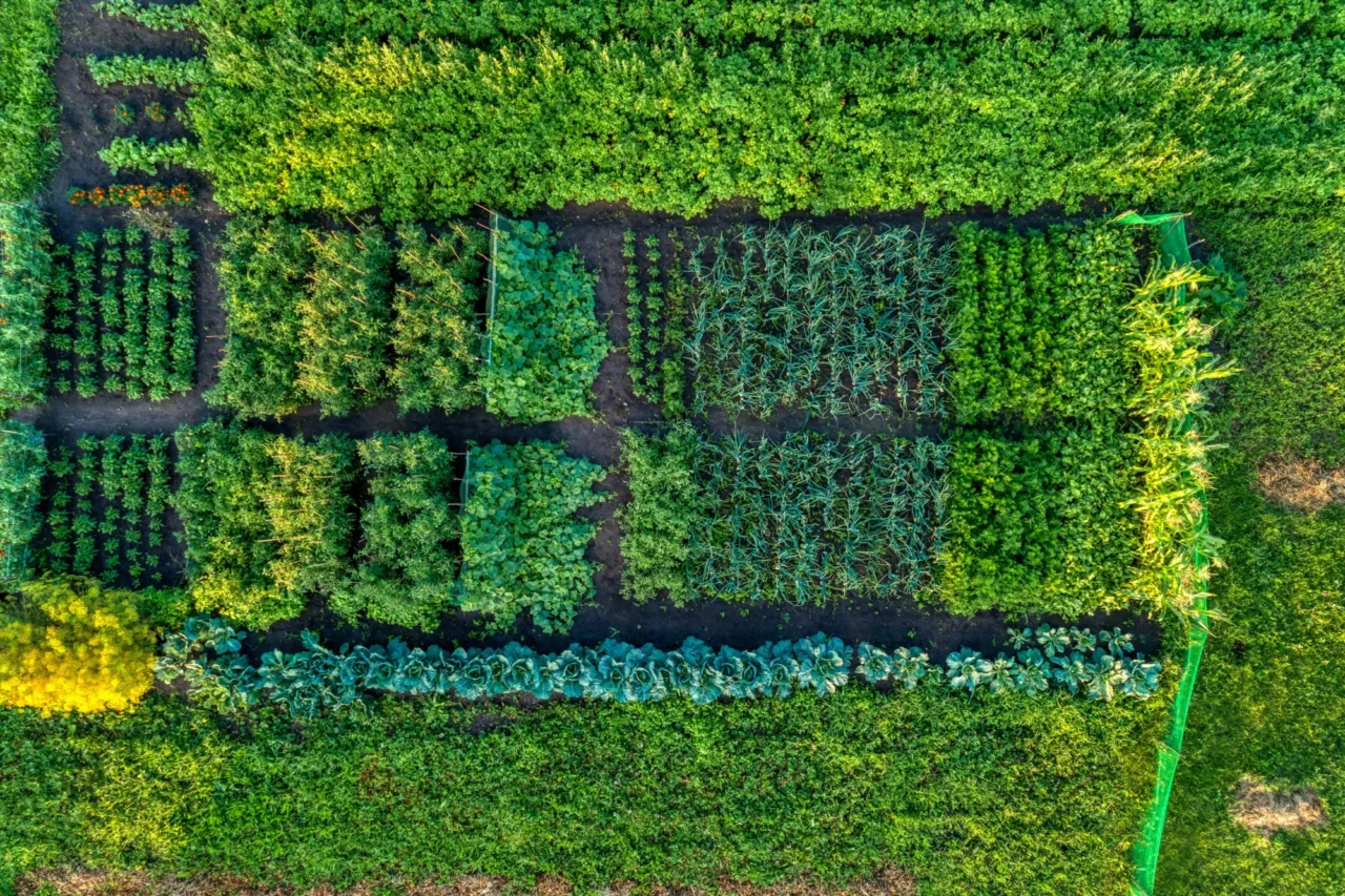 Adobe Stock 231381756