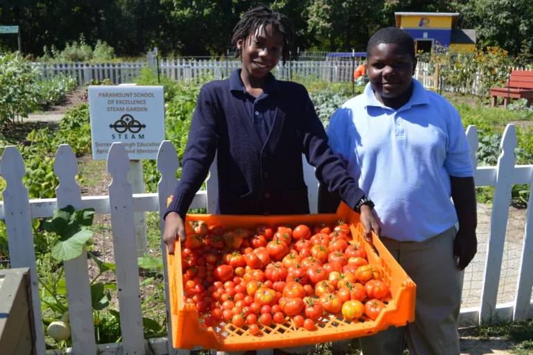 Students w tomatoes